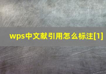 wps中文献引用怎么标注[1]